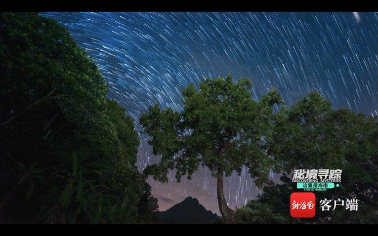 国王的坐骑