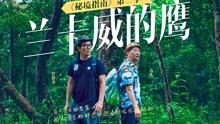 逃出魔法宫